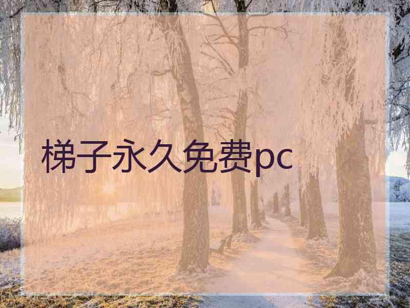梯子永久免费pc