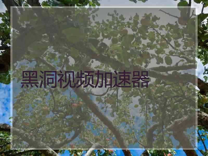 黑洞视频加速器
