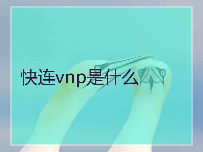 快连vnp是什么
