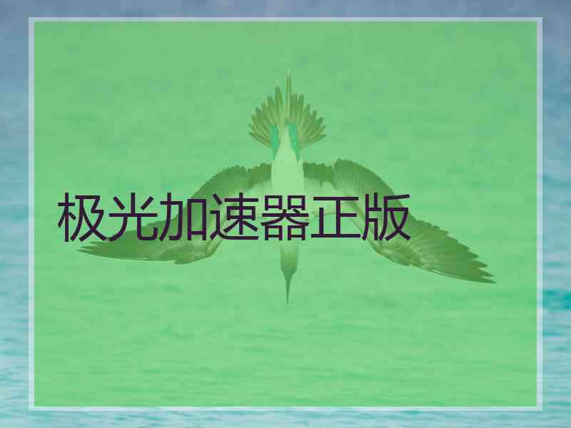 极光加速器正版