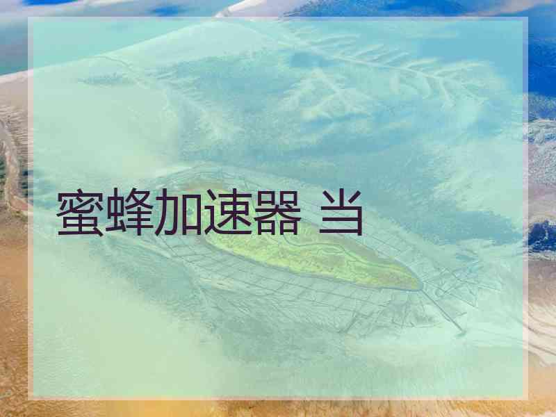 蜜蜂加速器 当