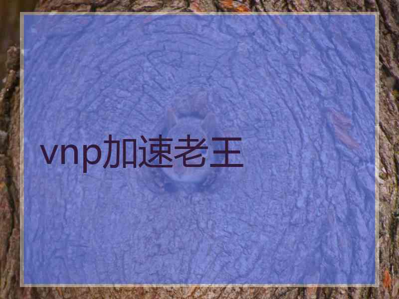 vnp加速老王