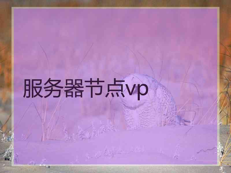 服务器节点vp