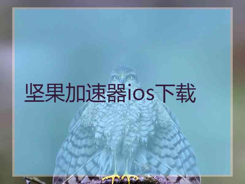 坚果加速器ios下载