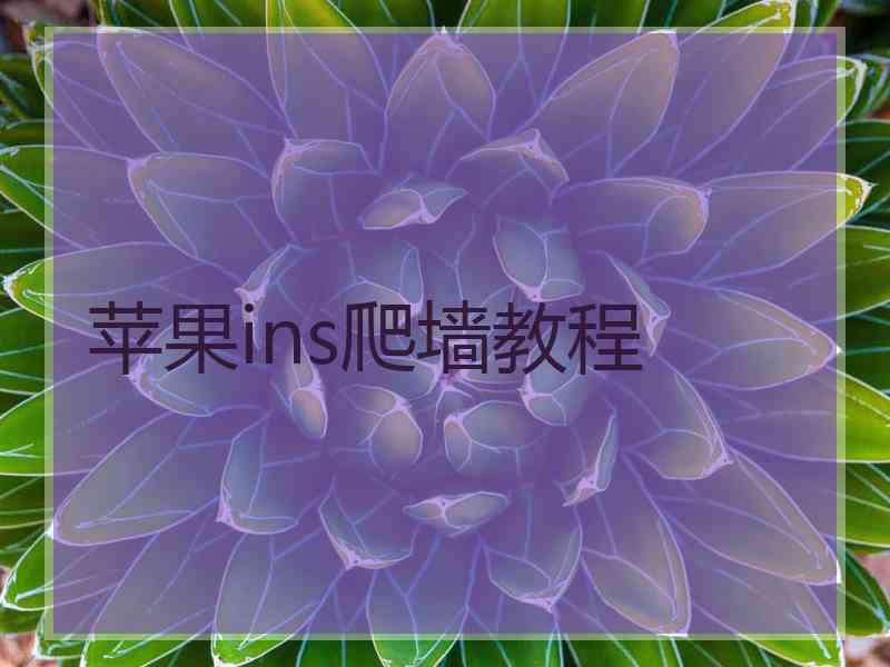 苹果ins爬墙教程