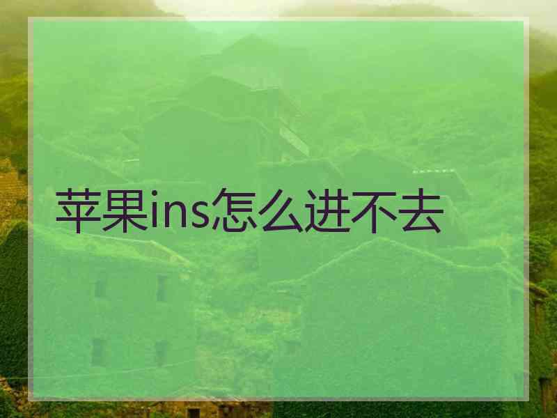 苹果ins怎么进不去