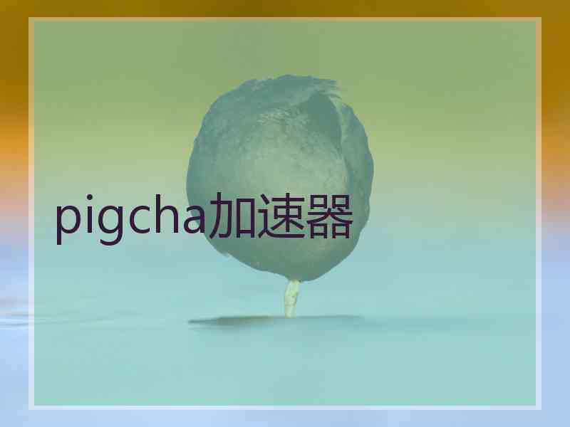pigcha加速器